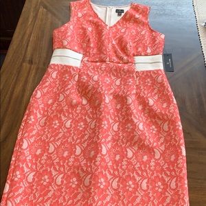 Women’s Worthington Dress Size 16